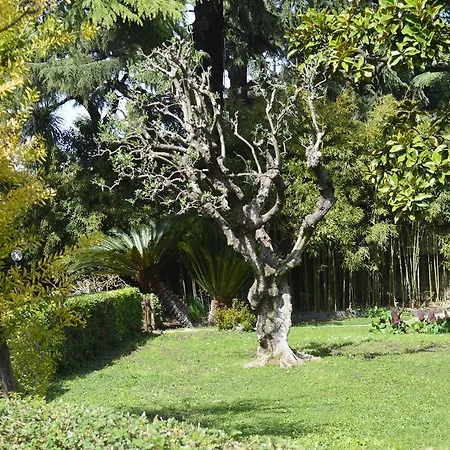 Apartamento Casaletto 210 *